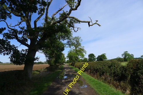Photo 12x8 potholed road - 12x8,