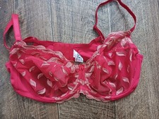 Shapely Figures  Red