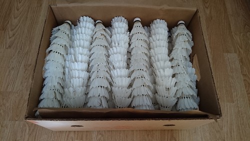 Recycle badminton feather - badminton,