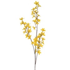 Forsythia Spray 84cm Yellow x