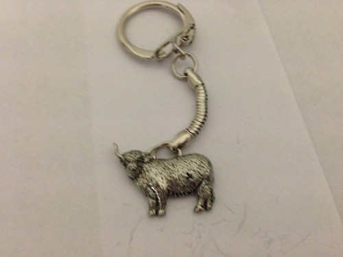 Highland cow g58 english - highland,