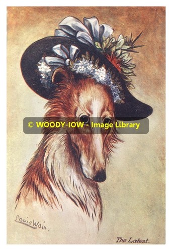 Rp10243 louis wain dog - rp10243,