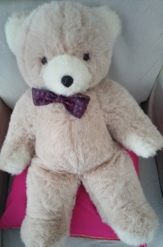 Large soft cuddly - teddy, bear