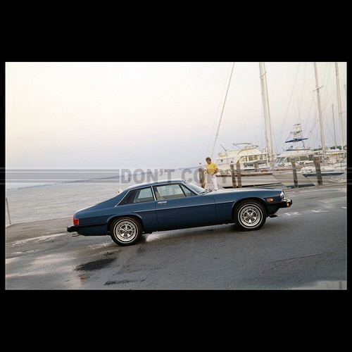Photo 003429 jaguar - jaguar, xj-s