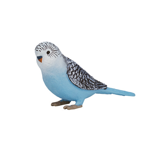 Blue budgerigar toy - budgerigar,