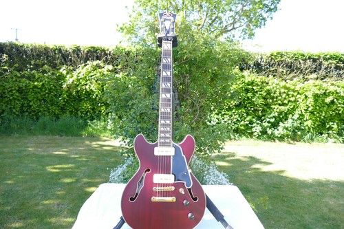 Angelico deluxe series mini - d'angelico,