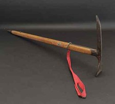 Rare Unusual Walking Stick