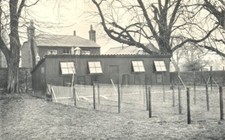 POULTRY FARMING. Chicken Rearing; Winter Brooder House at Theale, Berks 1912