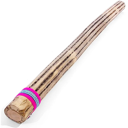 Cactus rainstick 50cm - cactus,