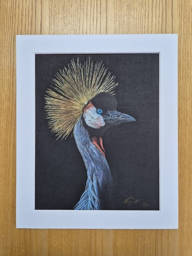 Grey crowned crane - grey,