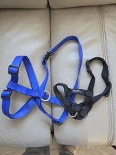 1 x Blue Adjustable Dog Harness Sz L / XL And  1 X Black Head Halter Sz L