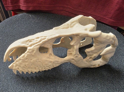 Replica dinosaur skull - replica,