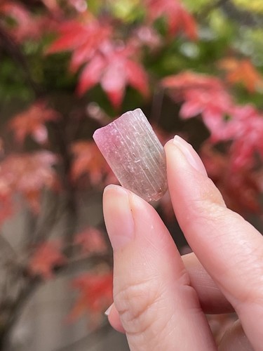 Pink tourmaline rod - pink, terminated