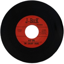 THE ZAKARY THAKS  "BAD GIRL