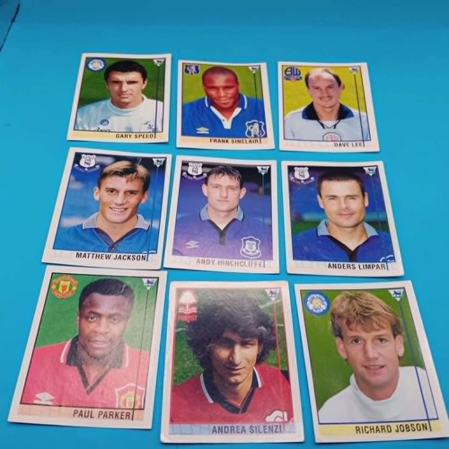 Merlin 1996 premier - 1996, league