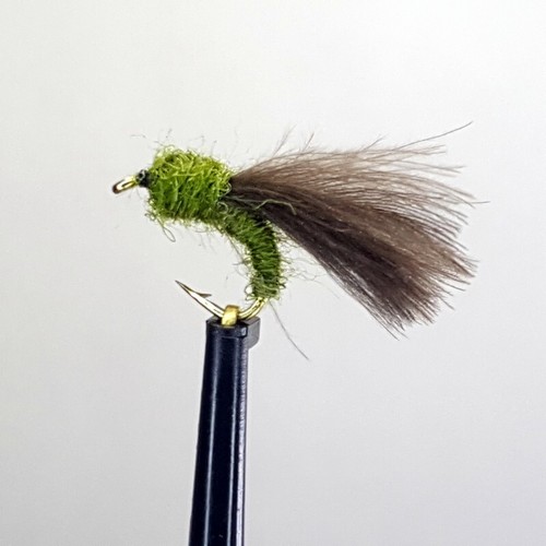Cdc olive midge fly - x,