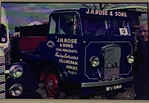 35mm slide rose - slide, j.h