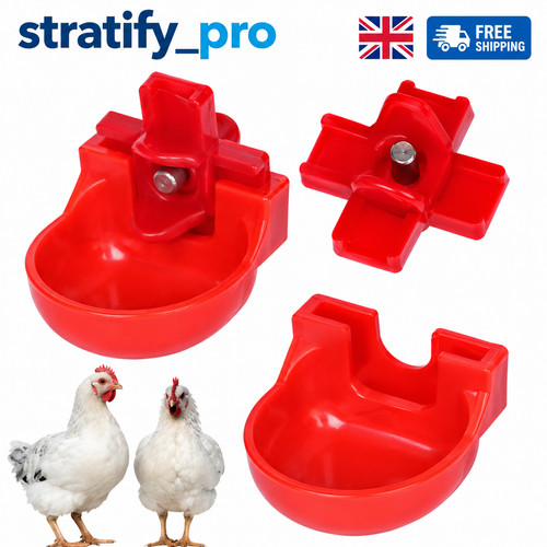 10pcs automatic chicken - 10pcs,