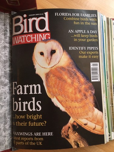 Bird watching magazines - bird,