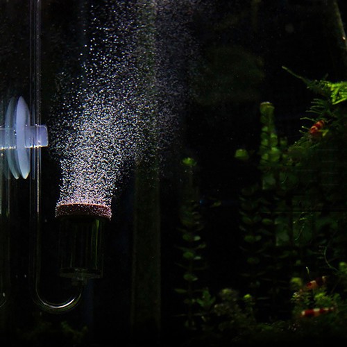 Acrylic aquarium bubble - acrylic,
