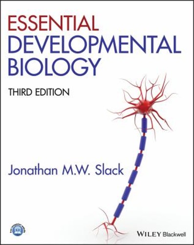 Essential developmental - essential,