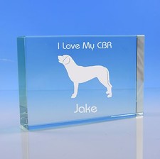 Chesapeake Bay Retriever Dog Lover Gift Personalised Hand Engraved Paperweight