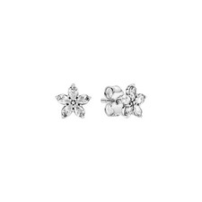 Pandora Silver Sparkling