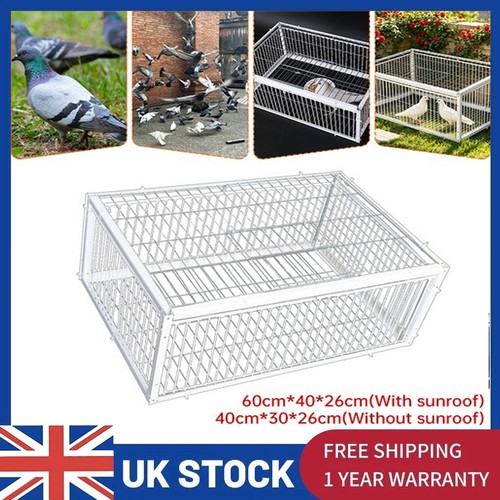 Pigeon trap cage single way - trap,