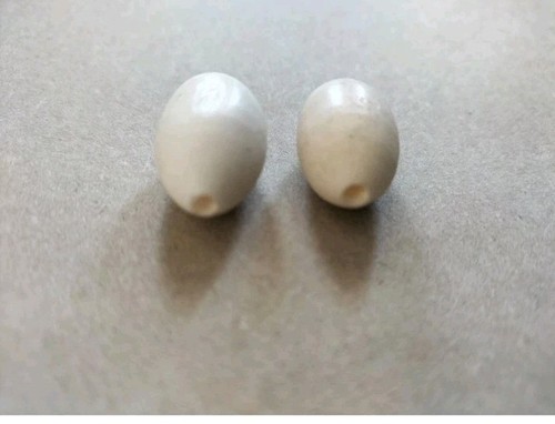Replacement sitar bone fine - 2x,