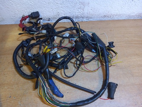 Piaggio nrg wiring loom - nrg,