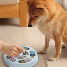 Dog Puzzle Toy Interactive Pet