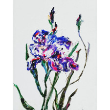 Iris oil Painting pink artwork