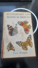 Butterflies and Moths In