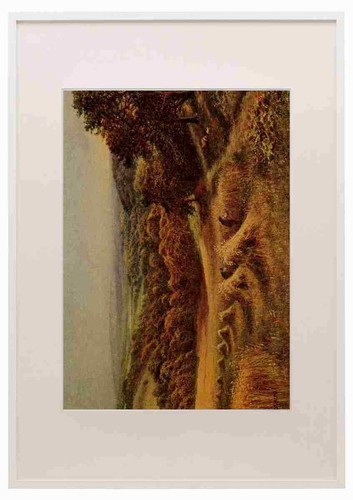 Sherrin daniel 1868 1940 - sherrin,