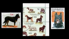 BEAUCERON Berger de Beauce