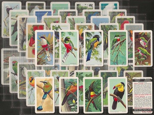 Brooke bond full set - brooke,