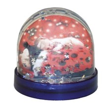 Dorr Photo Snow Globe with
