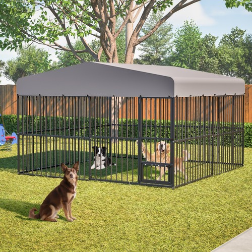 10x10ft outdoor pet dog - dog, run
