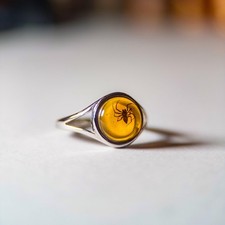 Spider Fossil Amber Ring