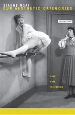 Our Aesthetic Categories -