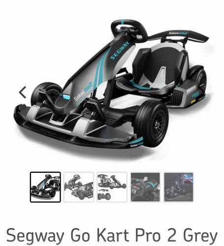 Segway kart pro grey - go, 2