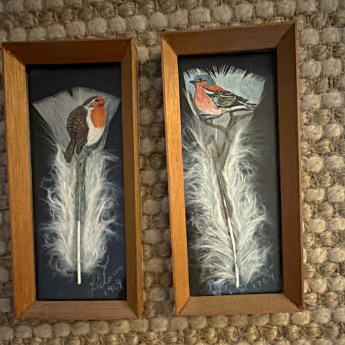 Pair framed signed robin - signed,