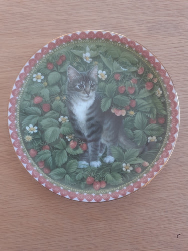 Meet kittens bone china - my,
