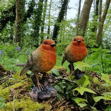 Robin tree stump garden - robin, on