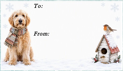 Labradoodle doodle - labradoodle,