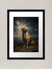 Labrador Retriever in a