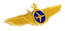 Airlines Pilot Wings Captains