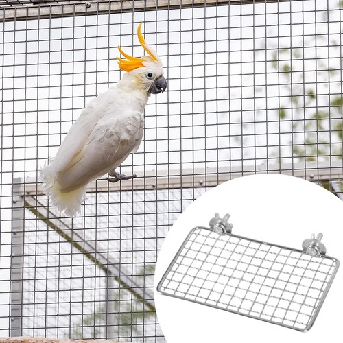 Bird perch platform - platform, playground