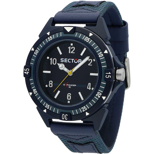 Mens wristwatch sector - wristwatch,