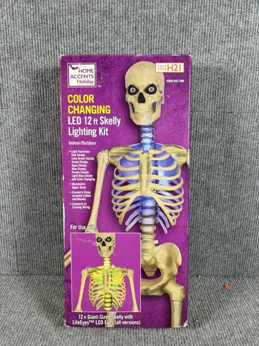 Skeleton skelly led home - 12,